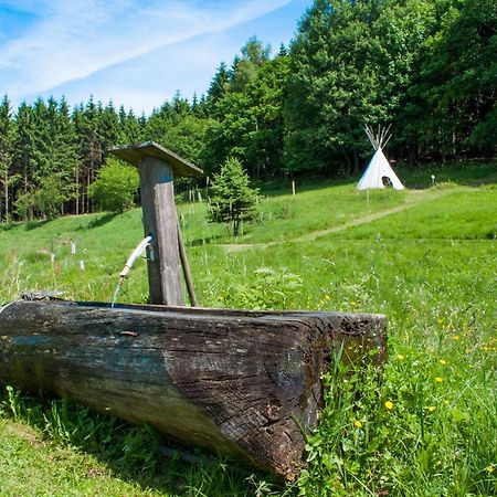 Appartamento Haus Sohl Am Rothaarsteig Bad Laasphe Esterno foto