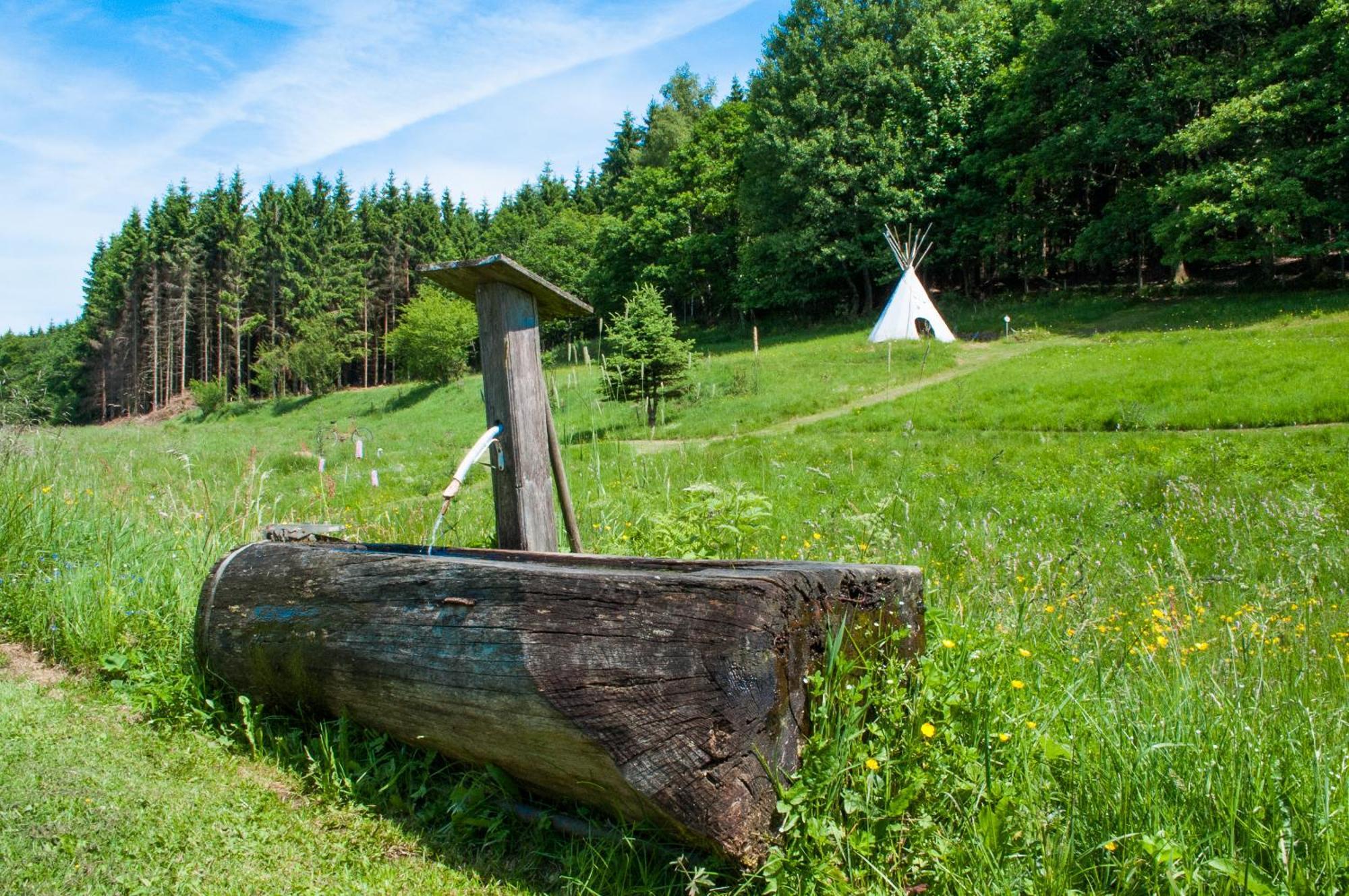 Appartamento Haus Sohl Am Rothaarsteig Bad Laasphe Esterno foto